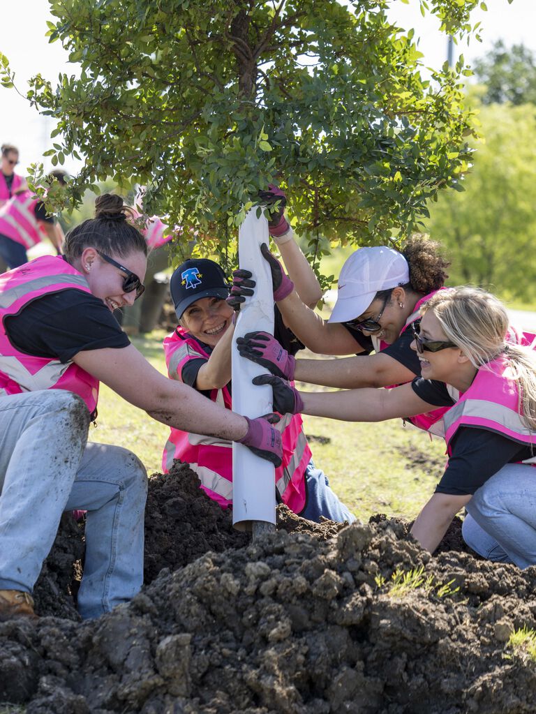 Equipo Mary Kay trabajando juntos para plantar un &aacute;rbol.