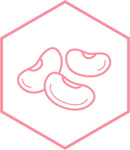 Ilustraci&oacute;n del ingrediente jud&iacute;a blanca.
