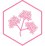 Icono de flor de verbena en un hex&aacute;gono rosa.