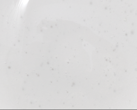 Muestra de textura del t&oacute;nico Mary Kay&reg;.