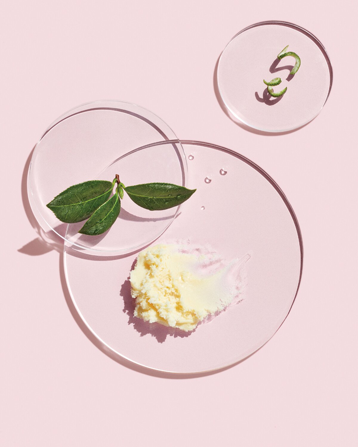 Glosario de Ingredientes Mary Kay